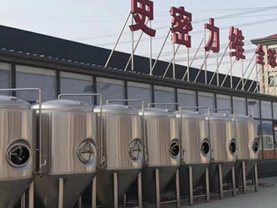 榆社精酿啤酒设备厂—如何判断精酿啤酒设备的密封件需要更换？